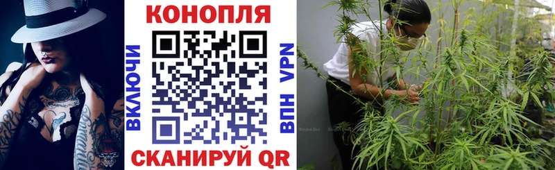 Шишки марихуана планчик  Новоузенск 